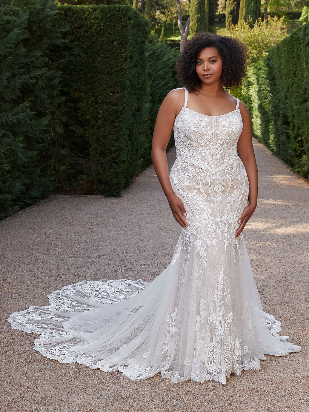 Elysee x Edition In Store Bridal Bridal Dresses Along Came Eve